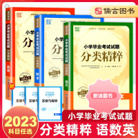 [精选好书 ] 2023新版小学毕业考试试题分类精粹语文数学英语六年级上册下册全一册 通城学典小学毕业升学总复习真题详解
