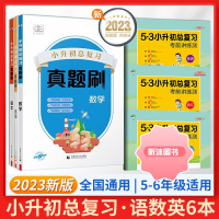 [精选好书 ] 2023版53小升初总复习真题刷语文数学英语人教版全套小学升初中六年级下册模拟试卷测试卷子必刷真题训练资