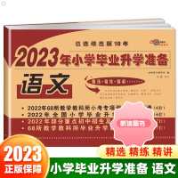 [精选好书 ] 2023小学毕业升学语文小升初小学毕业专项训练试卷重点初中招生及分班试卷全国68所名校小学小考真题冲刺押