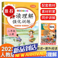 二年级上下册阅读理解专项强化训练语文人教版课内课外阅读训练册