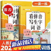 二年级上下册看拼音写词语生字注音语文专项训练人教版同步练习册