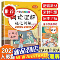 六年级上下册阅读理解人教版语文专项强化训练课内课外阅读训练书