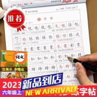 六年级上下册同步练字帖人教版生字练字帖楷书字帖行楷硬笔书法