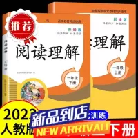 一年级上下册阅读理解专项强化训练人教版同步练习册语文专项训练