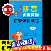 拼音强化训练一年级专项练习册大班学前班声母韵母基础教材天天练