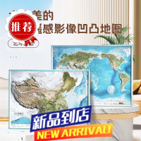 2张中国世界遥感地形地貌图挂图3d凹凸立体58*43学生家用墙贴 中国地形+世界地形卫星影像版 58*43CM其他类