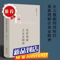 重新理解企业家精神 经济学家张维迎40年企业家研究力作 回归商业点直击市场问题 理想国 书籍