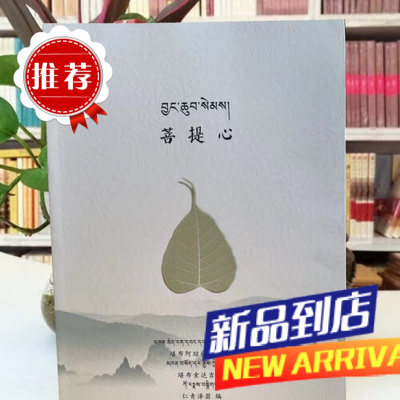 苦提心 堪布阿琼仁波切 著 索达吉堪布译16开本封面带花纹 封面带花纹