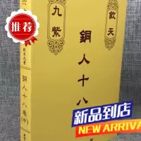 钦天九紫铜人十八巷(中) 蔡明宏 紫云慈航
