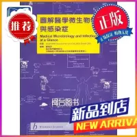圖解微學與感染症 蕭孟芳 合記