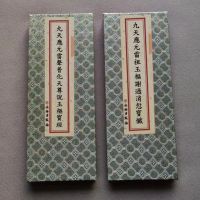 正版九天應元雷聲玉枢經+雷祖玉枢消愆寳懺 古典文艺全套