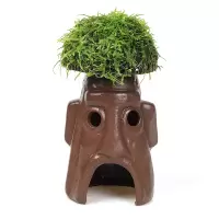 鱼缸造景莫斯水草陶罐躲避洞鱼虾躲避屋慈鲷罐水晶虾窝繁殖罐虾罐