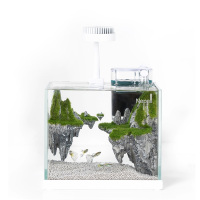 尼泊洱小鱼缸小型客厅办公室桌面创意迷你水族箱微型景观生态鱼缸