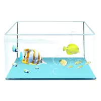 网红热弯玻璃小鱼缸家用水族长方形桌面客厅造景小型养金鱼水裸缸