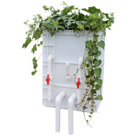 生态沼泽乌龟缸沼泽过滤箱周转箱过滤盒鱼缸过滤器沼泽滴流过滤箱