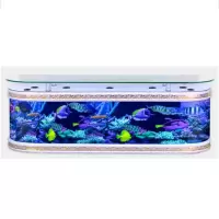 入户电视柜鱼缸水族箱生态客厅家用靠墙免换中大型免换水