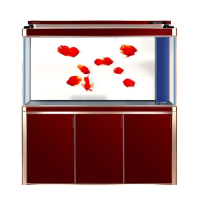 鱼缸水族箱超白玻璃客厅办公室大型底过滤生态金鱼龙鱼缸