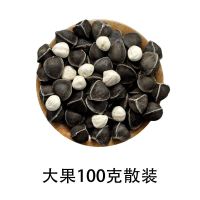 精选辣木籽(大果)100克 [老树新果大粒]辣木籽大果100g正宗印度进口野生辣木籽