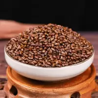 [决明子茶500克] 决明子茶 炒熟决明子泡茶优质宁夏决明子菊花茶 100g