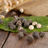 100g[体验装] 辣木籽 100g特级野生辣木籽 印度进口散装正宗辣木子