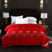 新款60支长绒棉桑蚕丝被刺绣冬被芯批发单双人春秋被子冬一件代发