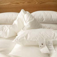 日本蓬松形超细羽丝绒被芯保暖被褥单人双人五星级酒店冬被羽绒被