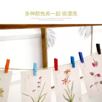 麻绳照片墙装饰麻绳夹子相片夹照片夹子麻绳客厅卧室宿舍diy装饰|50个彩条夹+10米麻绳+10个挂钩