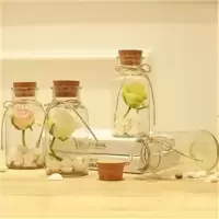 玻璃漂瓶贝壳装饰瓶漂木塞透明玻璃瓶家居|小号空