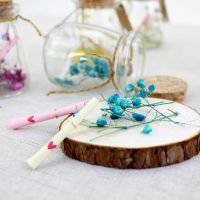 小号木塞布丁玻璃瓶子创意礼品瓶许愿瓶漂瓶幸运星瓶喜糖装饰瓶|1个布丁瓶[空瓶]