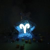 五星夜光许愿瓶荧光星空瓶漂瓶幸运星瓶玻璃瓶折星星纸装星星瓶|白羊座 特大号可装520颗