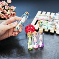 星座漂瓶迷你木塞小号玻璃瓶子许愿瓶创意生日礼物送同学小礼品|夜光许愿瓶 6只装+礼品袋
