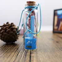 星座漂瓶迷你木塞小号玻璃瓶子许愿瓶创意生日礼物送同学小礼品|星座许愿瓶 6只装+礼品袋