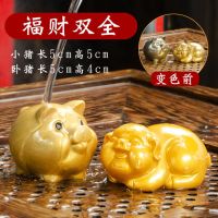 变色茶宠功夫茶具摆件茶道配件招财金蟾貔貅金龙金猪开水变色可养|福财双全(一对)