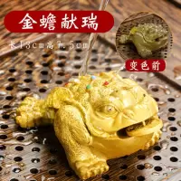 变色茶宠功夫茶具摆件茶道配件招财金蟾貔貅金龙金猪开水变色可养|招财金蟾