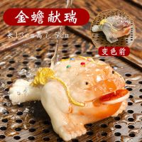 变色茶宠功夫茶具摆件茶道配件招财金蟾貔貅金龙金猪开水变色可养|红蟾