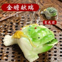 变色茶宠功夫茶具摆件茶道配件招财金蟾貔貅金龙金猪开水变色可养|绿蟾