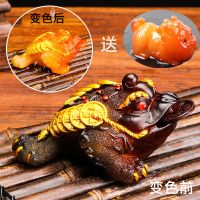 茶宠摆件可养招财变色金蟾茶具配件创意功夫茶具辟邪貔貅变色茶宠|招财变色金蟾[红色]送纳财貔貅宝宝