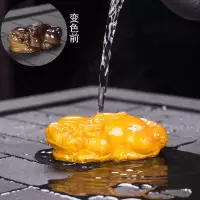 变色茶宠精品金龙貔貅金蟾蜍荔枝小摆件可养招财茶道茶台个性茶玩|辟邪小貔貅（金色）