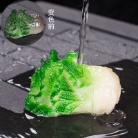 变色茶宠精品金龙貔貅金蟾蜍荔枝小摆件可养招财茶道茶台个性茶玩|变色小白菜