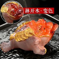 变色茶宠精品金龙貔貅金蟾蜍荔枝小摆件可养招财茶道茶台个性茶玩|[如意红蟾]+送小金猪