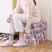 收纳凳子正方形储物凳可坐人沙发换鞋凳家用椅正方形收纳箱神器