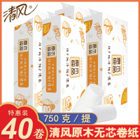清风卷纸卫生纸750g公用家用家庭装无香厕所无芯纸巾卷筒纸40卷