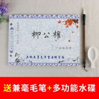 练毛笔字帖水写布套装初学者成人书法楷书小学生入门临摹颜真卿|柳公权三件套