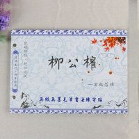 练毛笔字帖水写布套装初学者成人书法楷书小学生入门临摹颜真卿|柳公权单本装(无赠品)