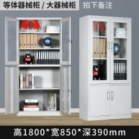 文件柜铁皮柜子储物柜带锁矮柜小柜子更衣柜带抽屉资料柜免安装|大器械柜 10加厚款