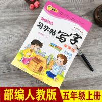 临摹练字本同步练字帖下册课本新版小学生五5人教版钢笔年级上册|[五年级上册]