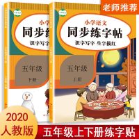 五年级课文练字帖组词同步写字硬笔上下册语文字帖部编版楷体识字|五年级识字写字字帖(上+下册)20芯
