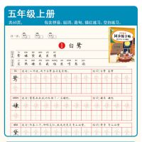 五年级课文练字帖组词同步写字硬笔上下册语文字帖部编版楷体识字|五年级(上册)识字写字字帖+10芯
