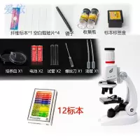 迷你小型宝宝学习早教儿童显微镜儿童显微镜入门高清显微镜|白显微镜+12标本+2电池