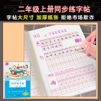 二年级人教版儿童同步练字贴练习字帖小学生上下册硬笔书法练字本|二年级上册练字帖[视频版104页]